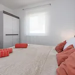 Agava * Privlaka