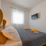 Agava * Privlaka