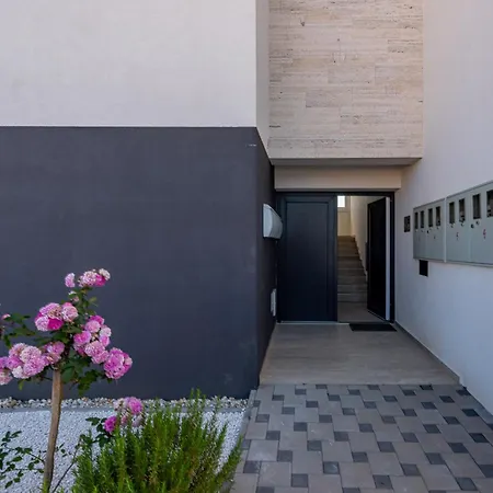 Agava * Privlaka (Zadar)