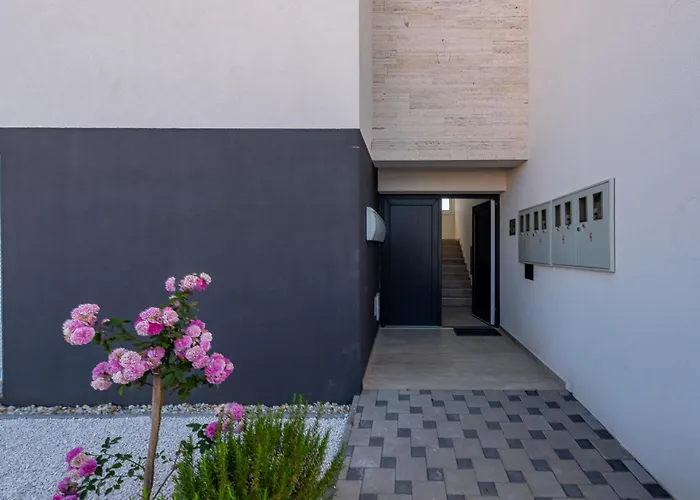 Agava * Privlaka (Zadar)