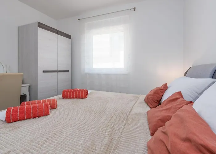 Agava * Privlaka (Zadar)