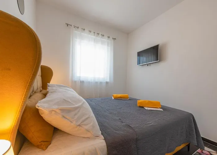 Agava * Privlaka (Zadar)